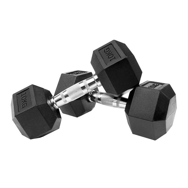 홈짐 홈트 PEV 헥사곤 덤벨 육각 아령, 2개, 10kg